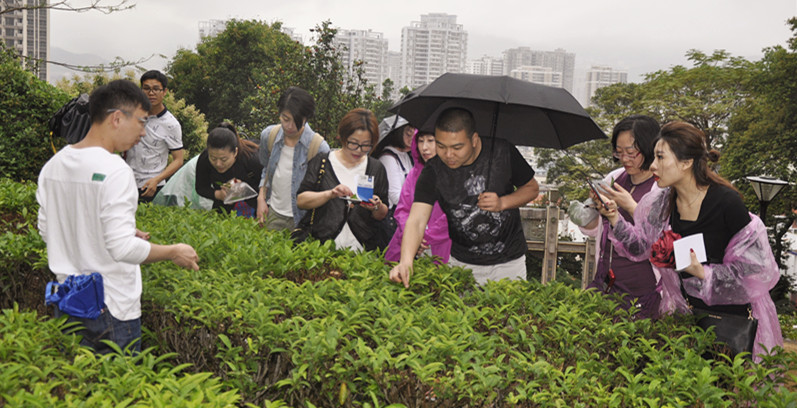 厦门茶艺师培训聊一下更多精彩